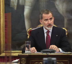 Su Majestad el Rey durante su intervención en el Consejo de Estado