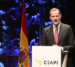 Su Majestad el Rey durante su intervención