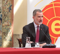 Su Majestad el Rey durante su intervención en la reunión anual del Patronato del Real Instituto Elcano de Estudios Internacionales y Estratégicos