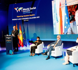 Desarrollo de la mesa redonda "La igualdad y el estado de derecho: contribución de las Cortes Internacionales"