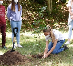 Su Alteza Real la Infanta Doña Sofía planta el haya con su grupo 