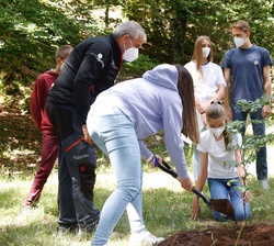 Doña Sofía y sus compañeros de grupo plantan un haya