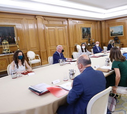 Vista general durante la reunión de trabajo sobre el impacto en la salud mental durante la pandemia