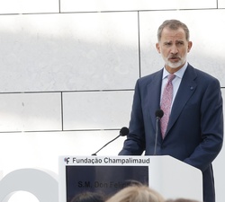Su Majestad el Rey durante su intervención