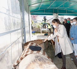 Sus Majestades los Reyes y Sus Altezas Reales la Princesa de Asturias y la Infanta Doña Sofía inician el recorrido por el pueblo en el Centro vecinal