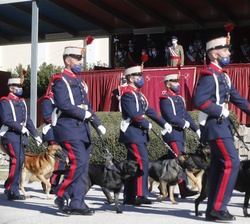 La Sección de Perros durante el desfile presidido por Su Majestad el Rey