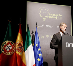 Su Majestad el Rey durante su intervención