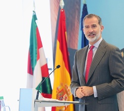 Don Felipe durante su intervención