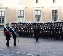 Su Majestad el Rey junto a Su Majestad el Rey de Suecia durante la revista de tropas