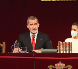 Su Majestad el Rey dirige unas palabras a los asistentes