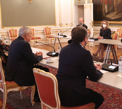 Encuentro de Su Majestad el Rey con el Presidente Federal de la República de Austria y las delegaciones de ambos paises