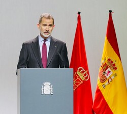 Don Felipe durante su intervención