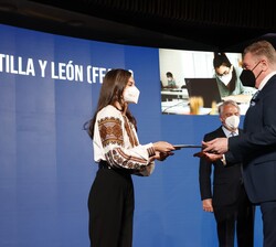 Su Majestad la Reina hace entrega del galardón en la categoría dirigida a las ayudas para programas relacionados con la discapacidad a la Plena Inclus