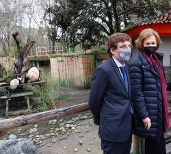 Su Majestad la Reina Doña Sofía junto a la presidenta de la Comunidad de Madrid y el alcalde de Madrid, durante la primera salida a la pradera de los 