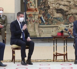 Su Majestad el Rey durante la audiencia con la Junta Directiva de la Asociación de Distribuidores de Energía Eléctrica (CIDE)
