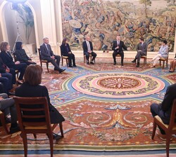 Su Majestad el Rey durante la audiencia que mantuvo con una representación de APSIA