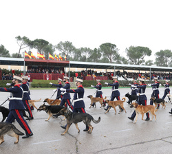 Su Majestad la Reina Doña Sofía en la Tribuna Real durnate el desfile al paso de la Sección Canina