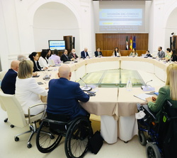 Reunión del Consejo del Real Patronato sobre Discapacidad presidido por Su Majestad la Reina