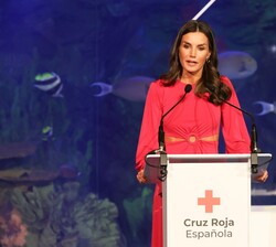 Doña Letizia durante su intervención en el acto conmemorativo del "Día Mundial de la Cruz Roja y de la Media Luna Roja"