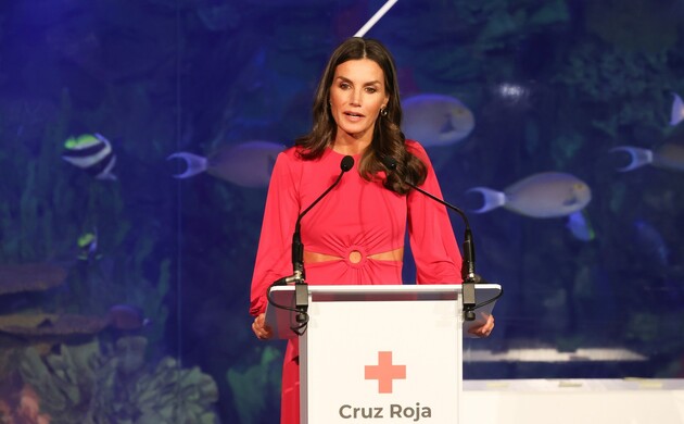 Doña Letizia durante su intervención en el acto conmemorativo del "Día Mundial de la Cruz Roja y de la Media Luna Roja"