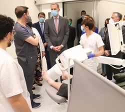 El Rey en una de las consultas