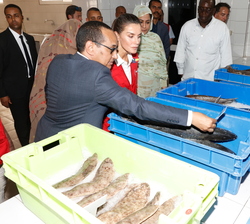 Doña Letizia visualiza los tipos de pescados que se distribuyen y los distintos paquetes de distribución