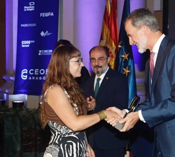 Su Majestad el Rey durante la entrega de galardones