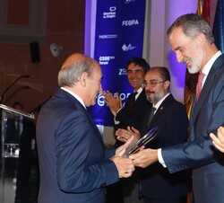 Don Felipe en la entrega de los premios