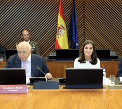Doña Letizia al comienzo de la reunión
