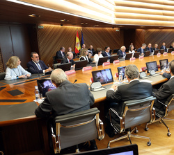 Vista general de la mesa de reuniones durante la reunión