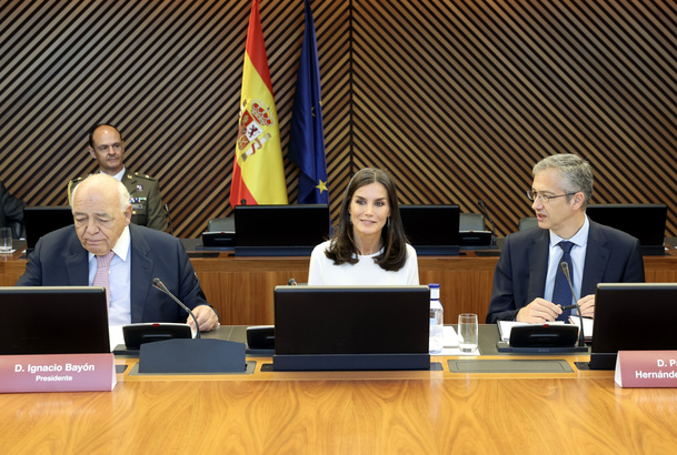 Doña Letizia al comienzo de la reunión
