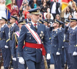 Su Majestad el Rey pasa revista a la Fuerza