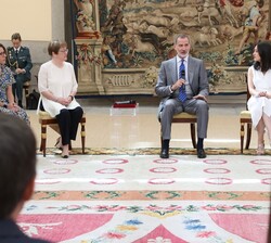 Su Majestad el Rey durante la audiencia