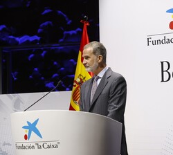 Su Majestad el Rey durante su intervención