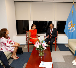 Vista general durante el encuentro de  Su Majestad la Reina  con Director General de OMS, Tedros Ghebreyesus