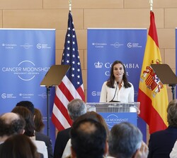 Vista general de la sala del acto durante las palabras de Su Majestad la Reina