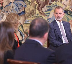 Don Felipe durante el desarrollo de la audiencia