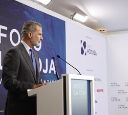 Don Felipe durante sus palabras
