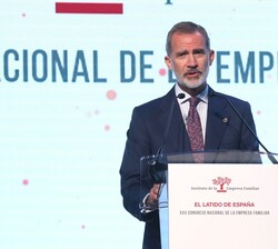 Don Felipe dirige unas palabras en el acto 