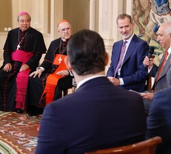 Don Felipe durante la auidiencia
