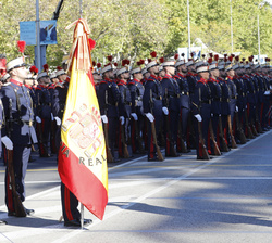 Su Majestad el Rey saluda a la Bandera al pasar revista a la agrupación de la Guardia Real