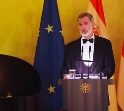 Su Majestad el Rey durante su intervención