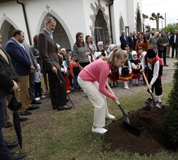 Doña Leonor ayuda a plantar un tejo