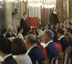 Su Majetsad el Rey durante su intervención 