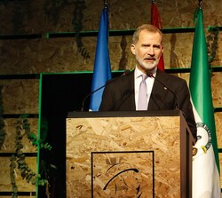 El Rey durante sus palabras