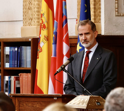Su Majestad el Rey durante su intervención en el Foro IFMIF-DONES