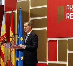 Su Majestad el Rey durante su intervención