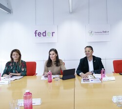 Doña Letizia preside la Reunión de trabajo anual de la Junta Directiva de la Federación Española de Enfermedades Raras (FEDER)