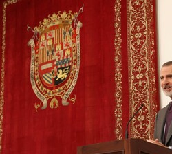 El Rey en su intervención