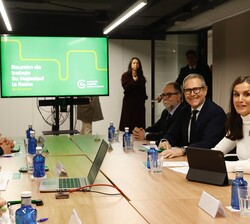 Doña Letizia durante la reunión de trabajo de la AECC